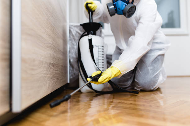 Best Residential Pest Control  in St Paris, OH