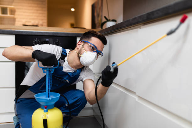 Best Wildlife Control Services  in St Paris, OH