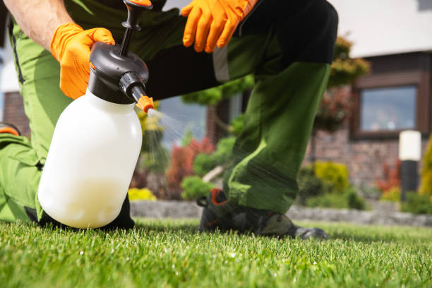 Best Pest Inspection Near Me  in St Paris, OH
