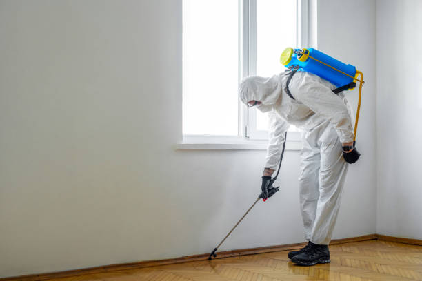 Best Pest Inspection Near Me  in St Paris, OH