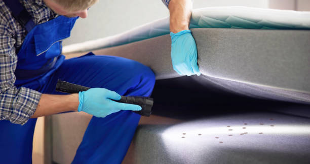 Best Pest Control Treatment  in St Paris, OH