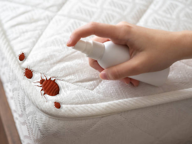 Best Pest Prevention Services  in St Paris, OH