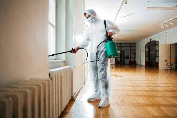 Best Affordable Pest Control Services  in St Paris, OH